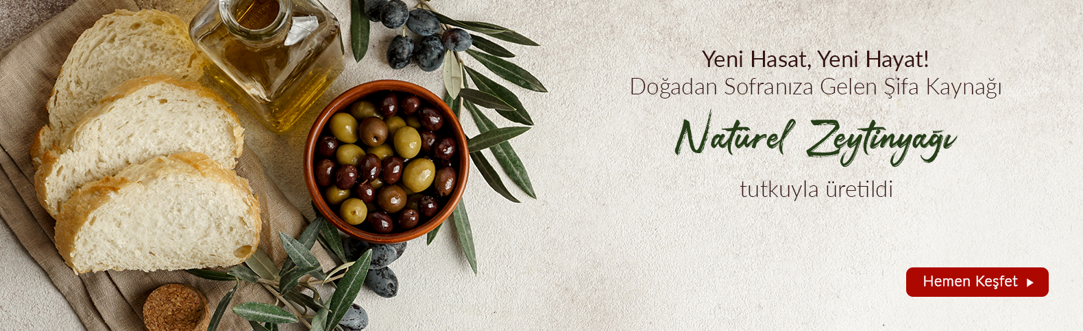 zeytin-cesitleri.png